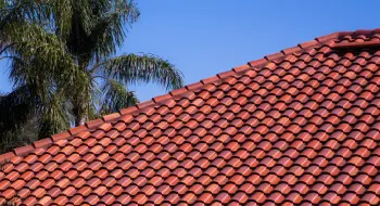 Tile Roof Cleaning